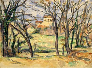 Trees and Houses Near the Jas de Bouffan, 1885-86. Creator: Paul Cezanne.