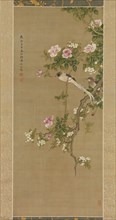 Flowers and Birds, 1750. Creator: Shen Nanpin.