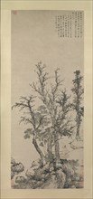 Silent Angler in an Autumn Wood, dated 1475. Creator: Shen Zhou.