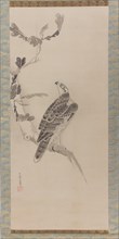 Hawks (Taka zu), mid-17th century. Creator: Soga Nichokuan.
