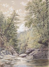 Catskill Clove in Palingsville, 1856. Creator: William Rickarby Miller.