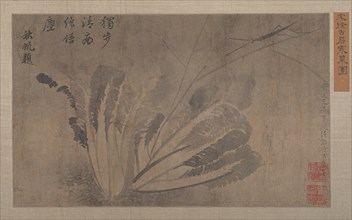 Cabbage and Insects. Creator: Xu Daoguang.