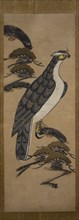 Otsu-e of Falcon on a Pine Tree , 18th century. Creator: Unknown.