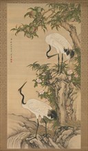 Cranes, Peach Tree, and Chinese Roses, early 18th century. Creator: After Shen Quan (Chinese, 1682-after 1762).