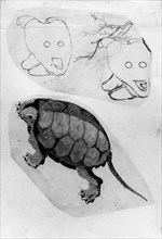 Two Sketches: One of a Turtle, the Other of Two Unidentified Objects, 18th-19th century. Creator: Hokusai.