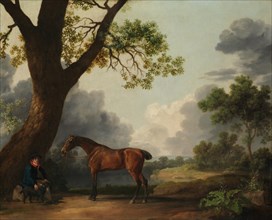 The Third Duke of Dorset's Hunter with a Groom and a Dog, 1768. Creator: George Stubbs.
