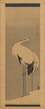 Two Cranes, 1795. Creator: Ito Jakuchu.