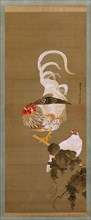 Hen and Rooster with Grapevine, 1792. Creator: Ito Jakuchu.