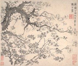 Plum Blossoms, dated 1757. Creator: Jin Nong.