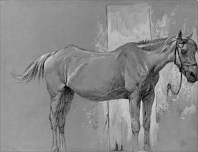 Horse, Fort Stanton, New Mexico. Creator: Peter Moran.