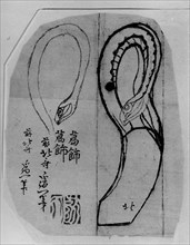 Snake Heads, 18th-19th century. Creator: School of Katsushika Hokusai.