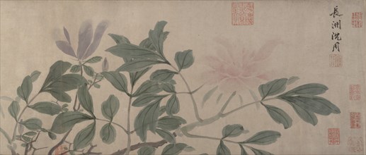 Flowers of the Four Seasons. Creator: Shen Zhou.