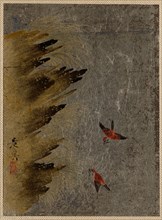 Birds and Jutting Rocks. Creator: Shibata Zeshin.