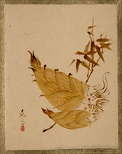 Bamboo Shoots, ca. 1880s. Creator: Shibata Zeshin.
