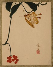 Red Berry Plant and Butterfly. Creator: Shibata Zeshin.