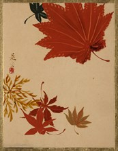 Maple Leaves. Creator: Shibata Zeshin.