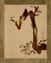 Crow on Tree. Creator: Shibata Zeshin.