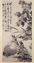 Hibiscus, Lotus, and Rock, ca. 1705-7. Creator: Shitao.