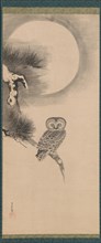 Owl on a Pine Branch, early 17th century. Creator: Soga Nichokuan.