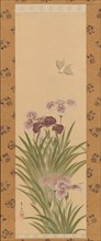 Irises and Moth, ca. 1850. Creator: Suzuki Kiitsu.