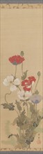 Poppies, mid-19th century. Creator: Suzuki Kiitsu.