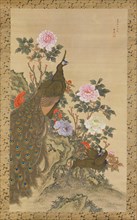 Peacocks and Peonies, 1820. Creator: Tani Buncho.