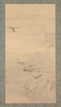 Hawk Grasping a Small Bird, 19th century. Creator: Tsubaki Chinzan.