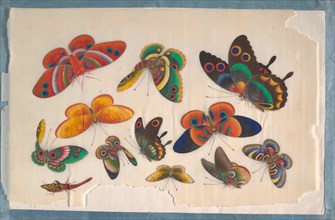 Album Containing Twelve Paintings of Insects, 19th century. Creator: Unknown.