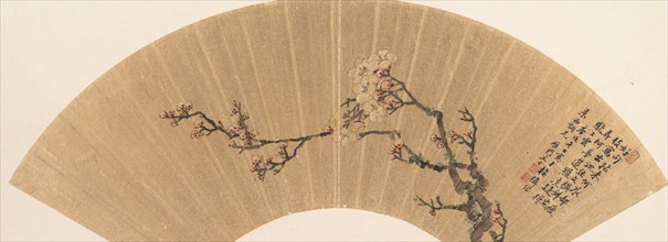 Plum Blossoms, dated 1670. Creator: Wen Zhi.