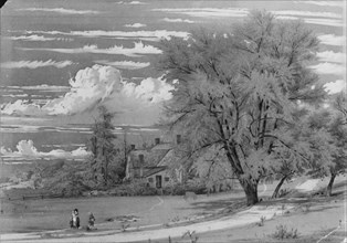 Willow Tree, Harlem Creek, New York, 1853. Creator: William Rickarby Miller.
