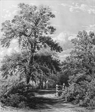 The Grandmother Tree, near Middletown, Long Island, 1858. Creator: William Rickarby Miller.