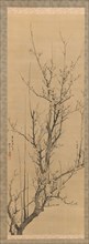 Plum Blossoms, dated 1851. Creator: Yamamoto Baiitsu.