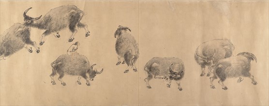 Water Buffaloes, dated 1639. Creator: Zhang Hong.
