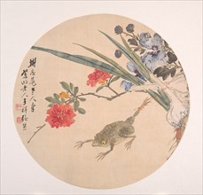 Flower and Toad. Creator: Zhang Xiong.