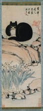 Black Cat and Narcissus, 19th century. Creator: Zhu Ling.
