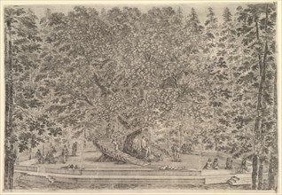A large inhabited tree in center with ramps leading around the trunk, below a stone pa..., ca. 1653. Creator: Stefano della Bella.