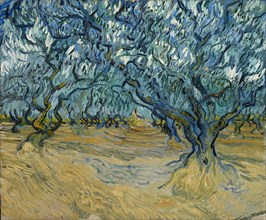 The Olive grove, Saint-Rémy, 1889. Creator: Gogh, Vincent, van