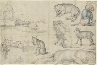 Sketches of Animals and Landscapes, 1521. Creator: Dürer, Albrecht