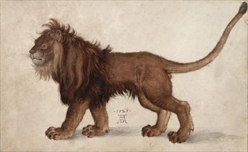 Lion, 1521. Creator: Dürer, Albrecht