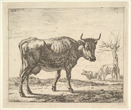 Three Cows, from Different Animals. Creator: Adriaen van de Velde.