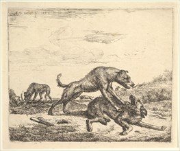 Fighting Dogs, from Different Animals, 1657. Creator: Adriaen van de Velde.