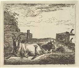 Recumbent Goats, from Different Animals. Creator: Adriaen van de Velde.