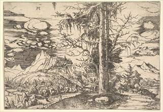 Landscape with a Double Spruce, ca. 1521-22. Creator: Albrecht Altdorfer.
