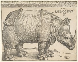 The Rhinoceros.n.d. Creator: Albrecht Durer.