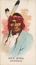 Red Bird, Chippeway, from the American Indian Chiefs series
