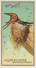 Barn Swallow, from the Birds of America series (N4) for Allen & Ginter Cigarettes Brands, 1888. Creator: Allen & Ginter.
