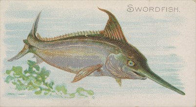 Swordfish, from the Fish from American Waters series (N8) for Allen & Ginter Cigarettes Br..., 1889. Creator: Allen & Ginter.