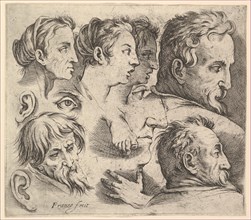 Studies of Heads. Creator: Battista Franco Veneziano.