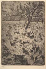 The Cabbage Field, ca. 1880. Creator: Camille Pissarro.
