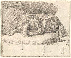 Sleeping Dog, 1777. Creator: Cornelis Ploos van Amstel.